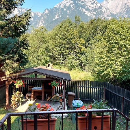 B House Буштени Экстерьер фото