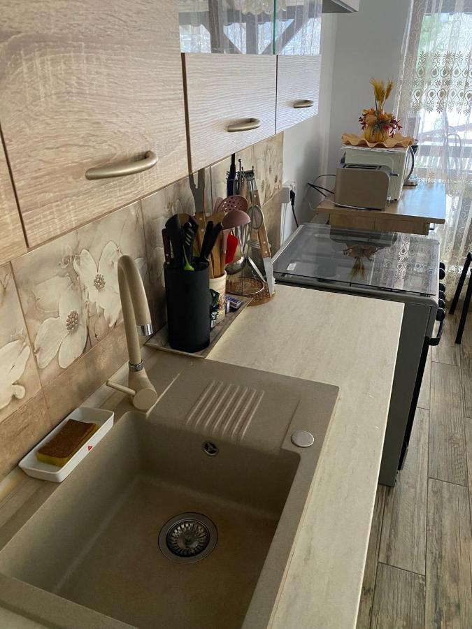 B House Буштени Экстерьер фото