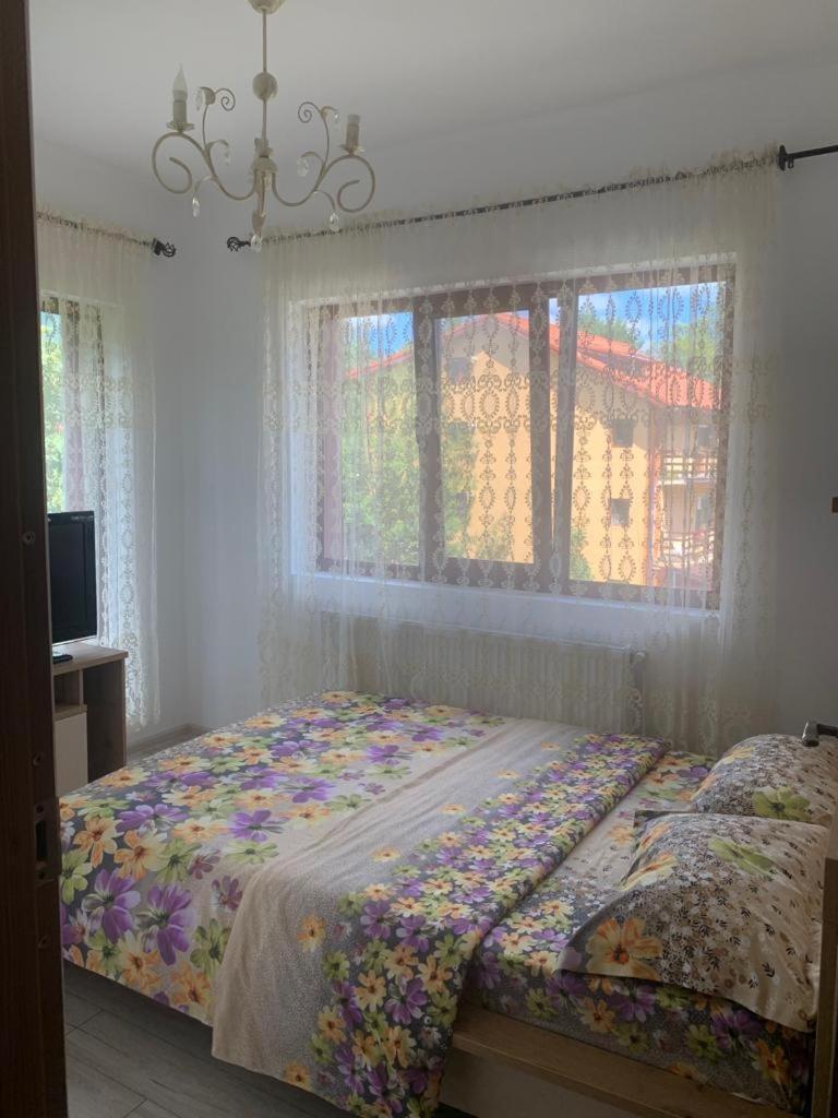B House Буштени Экстерьер фото