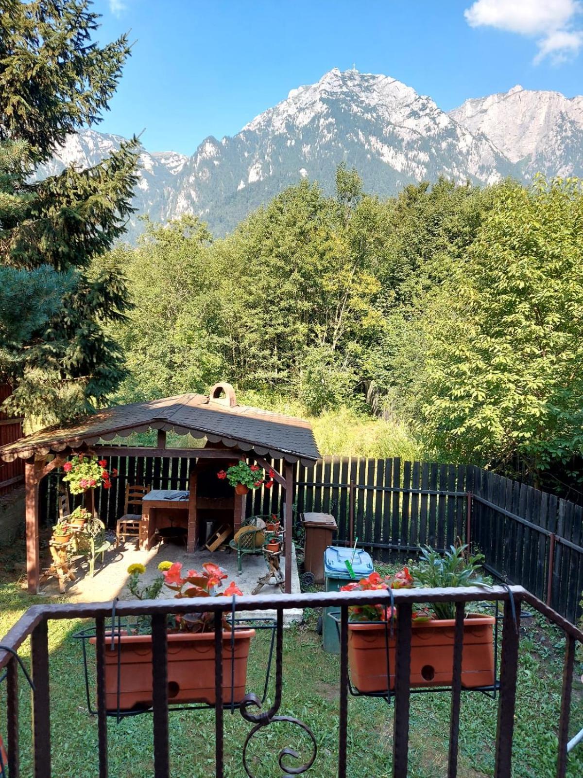 B House Буштени Экстерьер фото